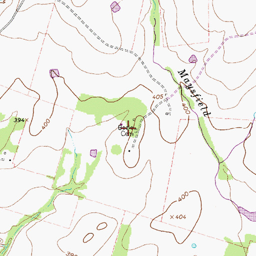 Topographic Map of Beale Cemetery, TX