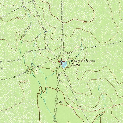 Topographic Map of Bean Salinas Tank, TX