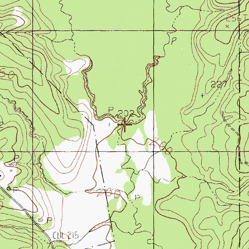 Topographic Map of Bear Creek, TX