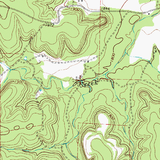 Topographic Map of Bear Hollow, TX