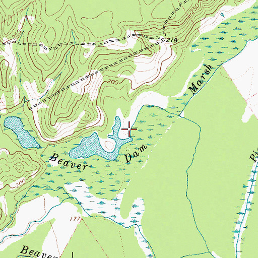Topographic Map of Beaver Dam Marsh, TX