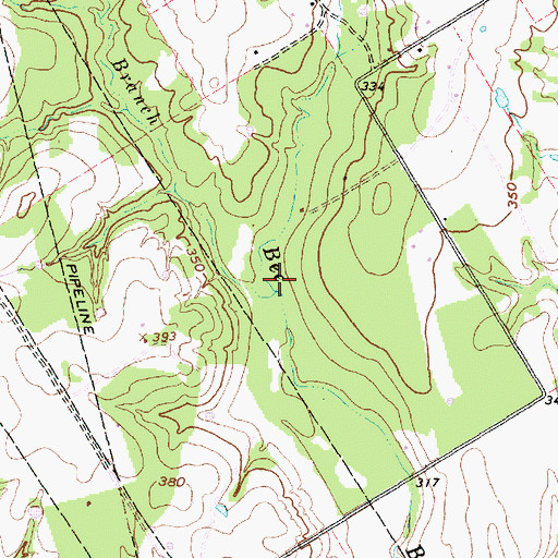 Topographic Map of Bee Branch, TX