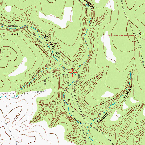 Topographic Map of Bee Cave Hollow, TX
