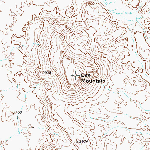 Topographic Map of Bee Mountain, TX