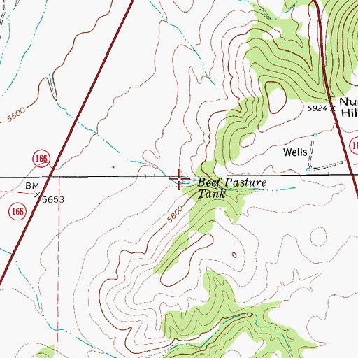 Topographic Map of Beef Pasture Tank, TX
