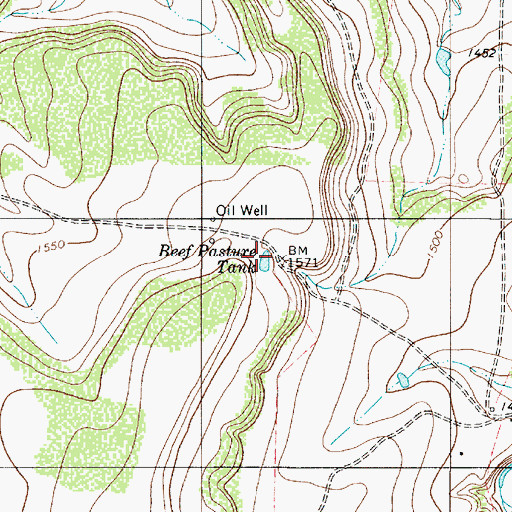 Topographic Map of Beef Pasture Tank, TX