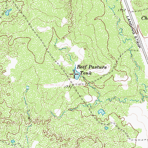 Topographic Map of Beef Pasture Tank, TX