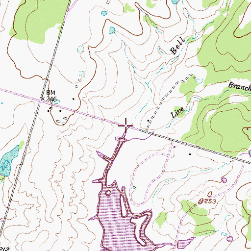Topographic Map of Bell Creek, TX
