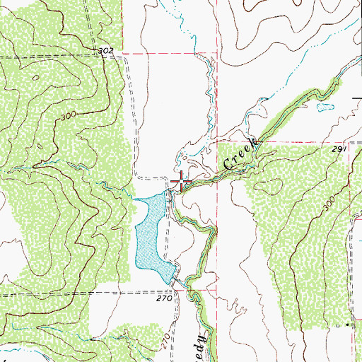 Topographic Map of Bell Creek, TX