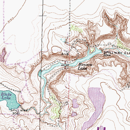 Topographic Map of Benson Lake, TX
