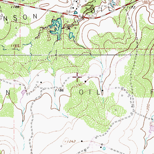 Topographic Map of Benson Oil Field, TX