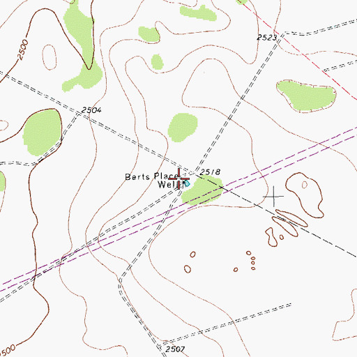 Topographic Map of Berts Place Well, TX