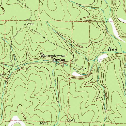 Topographic Map of Bierschwale Spring, TX