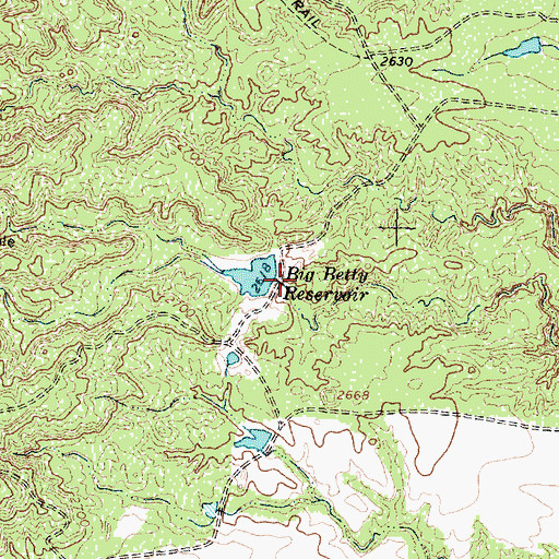 Topographic Map of Big Betty Reservoir, TX