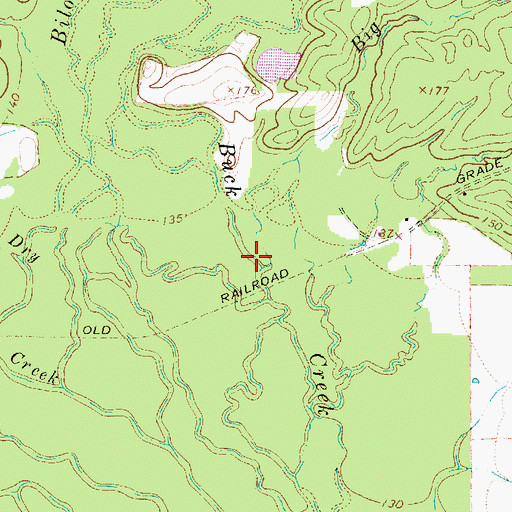 Topographic Map of Big Branch, TX