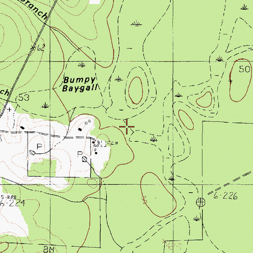 Topographic Map of Big Branch, TX
