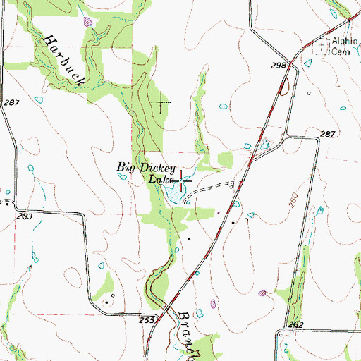 Topographic Map of Big Dickey Lake, TX