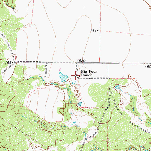 Topographic Map of Big Four Ranch, TX