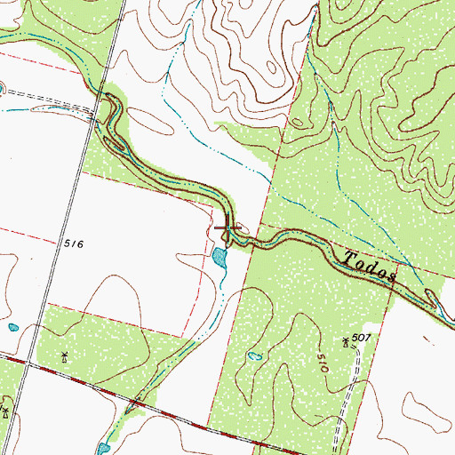 Topographic Map of Big Hollow, TX