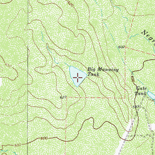 Topographic Map of Big Manning Tank, TX