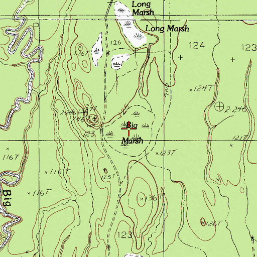 Topographic Map of Big Marsh, TX