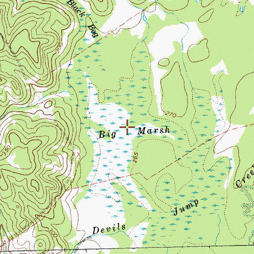 Topographic Map of Big Marsh, TX