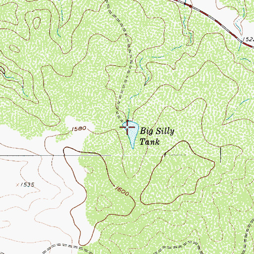 Topographic Map of Big Sally Tank, TX