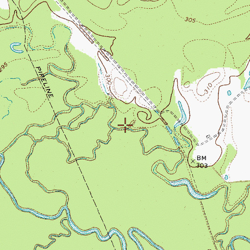 Topographic Map of Big Slough, TX