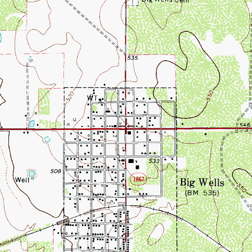 Topographic Map of Big Wells, TX