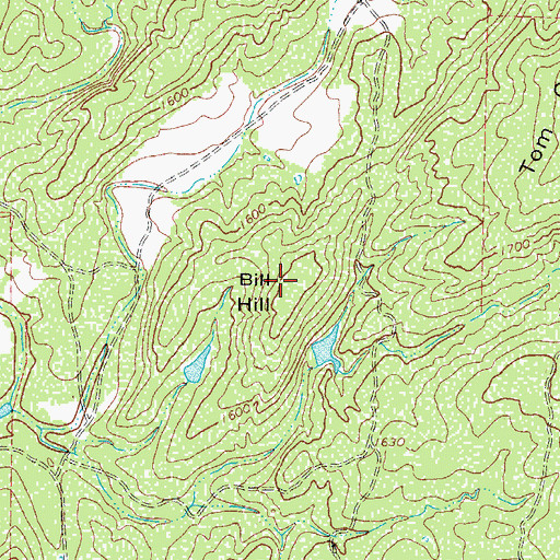 Topographic Map of Bill Hill, TX
