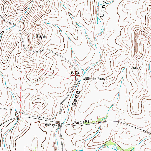 Topographic Map of Billings Ranch, TX