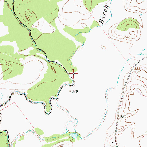 Topographic Map of Birch Creek, TX