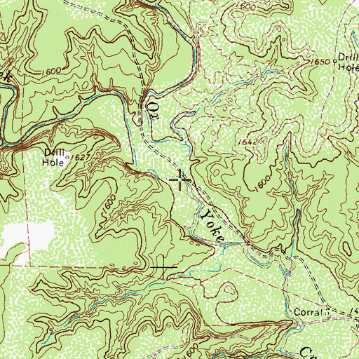 Topographic Map of Bird Creek, TX