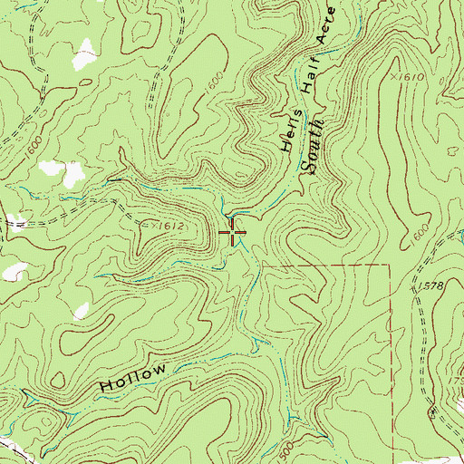Topographic Map of Bird Hollow, TX