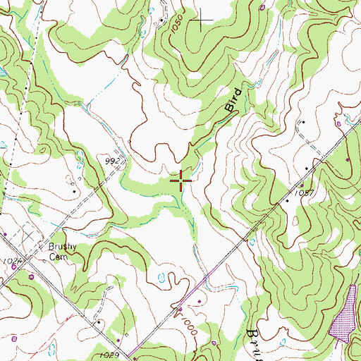 Topographic Map of Bird Hollow, TX