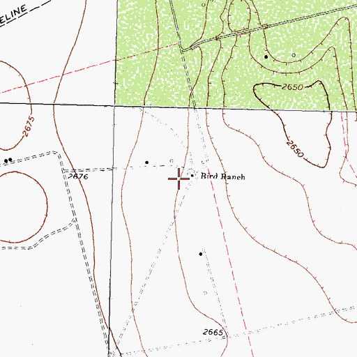 Topographic Map of Bird Ranch, TX