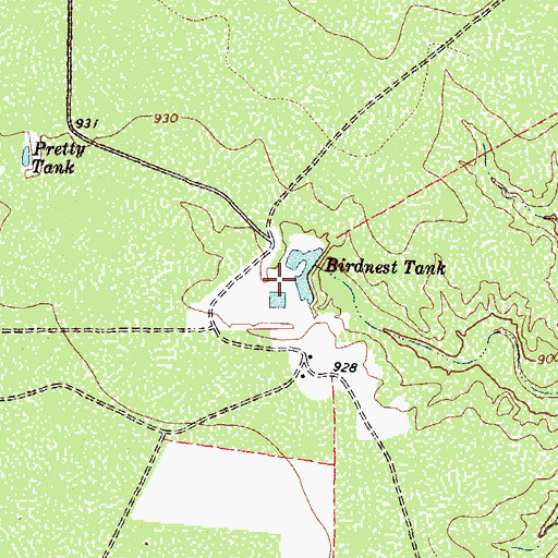 Topographic Map of Birdnest Tank, TX