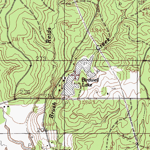 Topographic Map of Birdwell Lake, TX