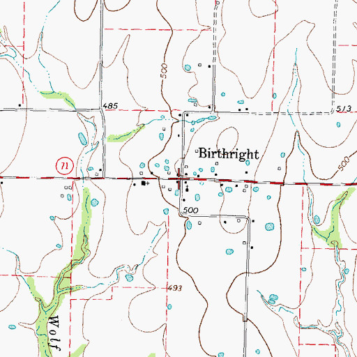 Topographic Map of Birthright, TX