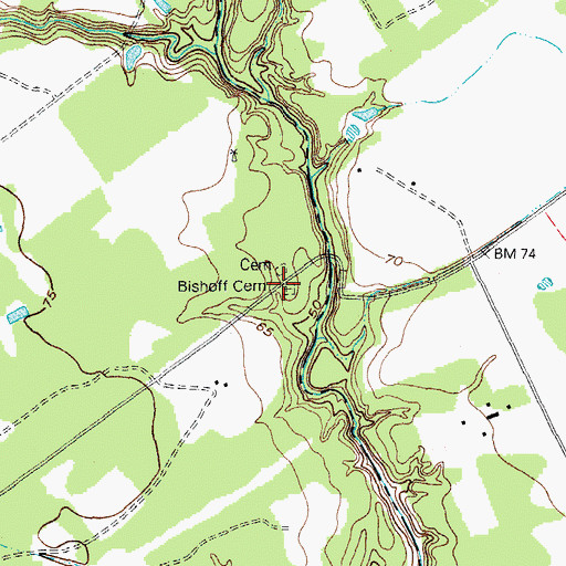 Topographic Map of Bischoff Cemetery, TX