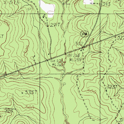 Topographic Map of Bishop Creek, TX