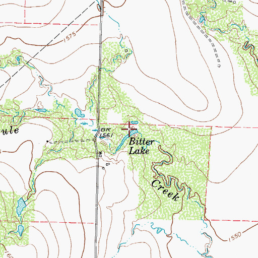 Topographic Map of Bitter Lake, TX