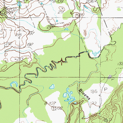 Topographic Map of Bivens Branch, TX