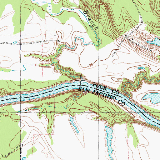 Topographic Map of Black Branch, TX