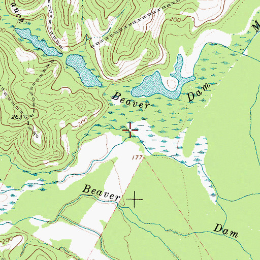 Topographic Map of Black Branch, TX