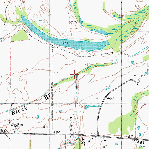 Topographic Map of Black Branch, TX