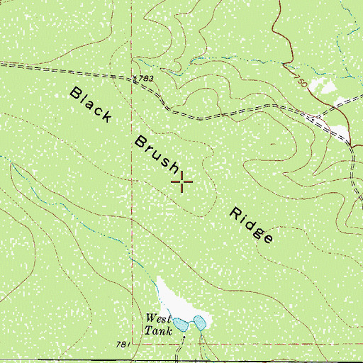 Topographic Map of Black Brush Ridge, TX
