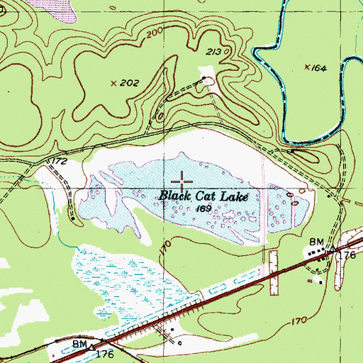 Topographic Map of Black Cat Lake, TX