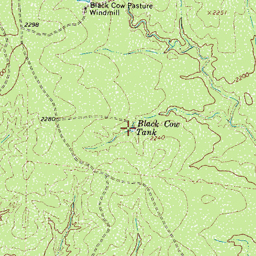 Topographic Map of Black Cow Tank, TX