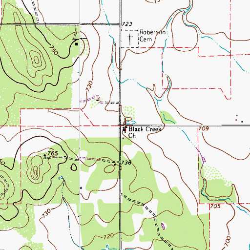 Topographic Map of Black Creek Church, TX